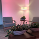 The deceptively soothing antechamber with boat-shaped planters.